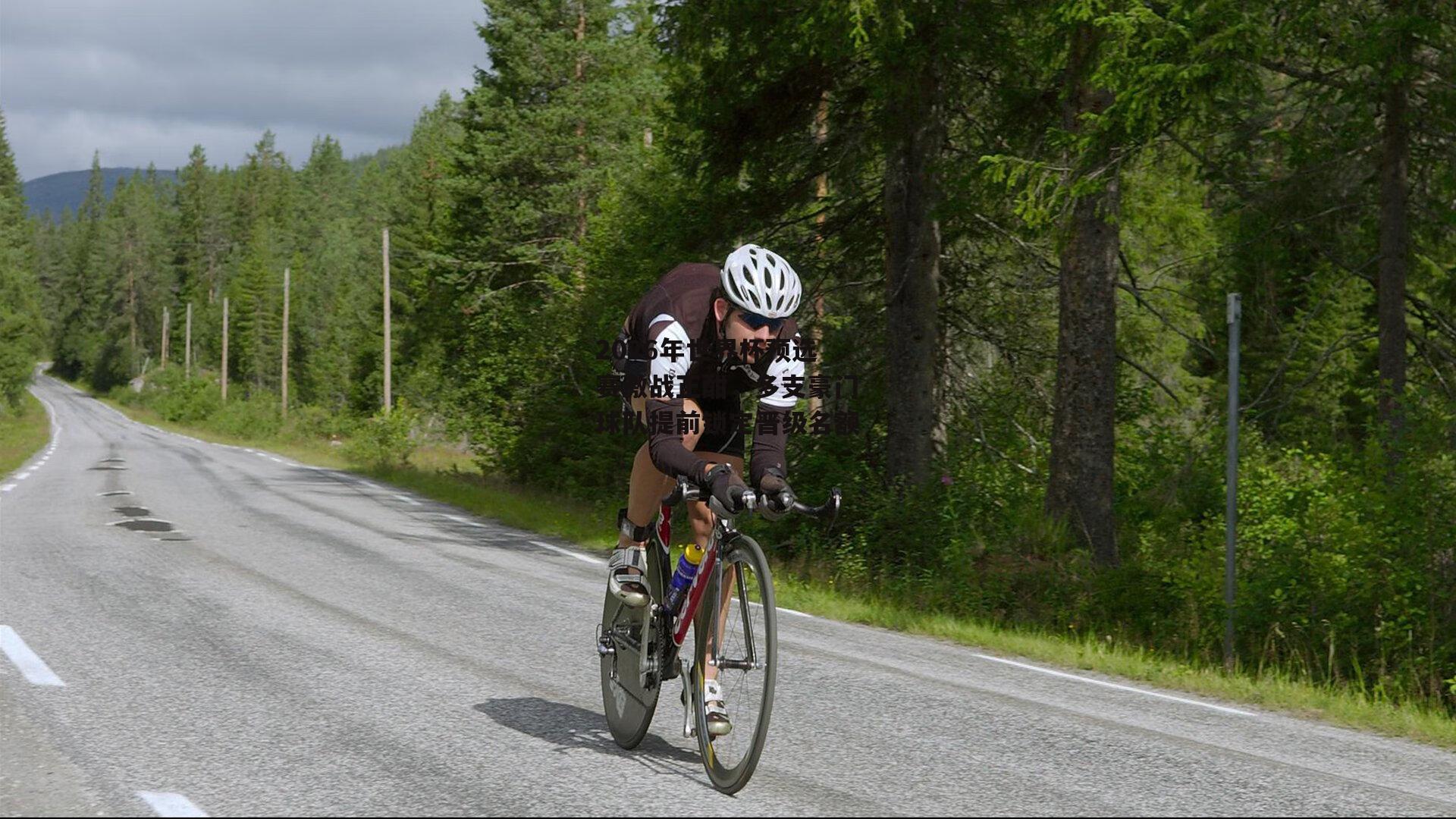 2026年世界杯预选赛激战正酣,多支豪门球队提前锁定晋级名额_乐竞体育